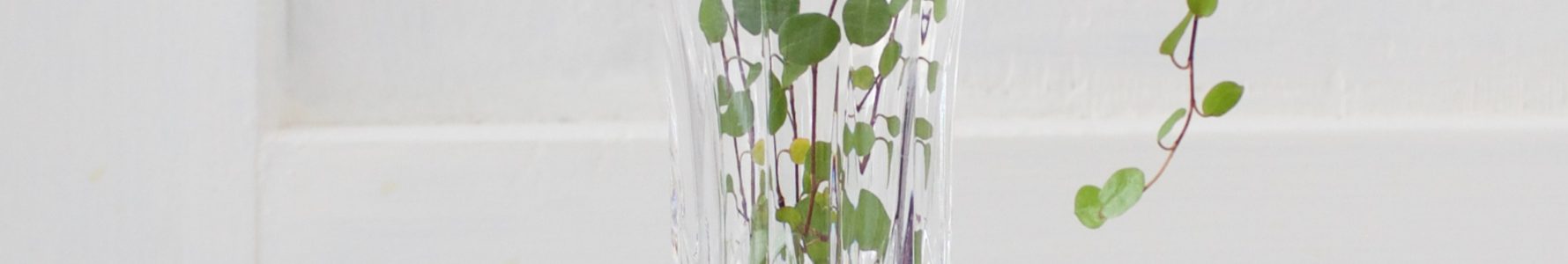 lasimaljakko / kukkamaljakko