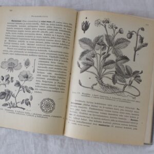 Vänrikki Stoolin tarinat kirja