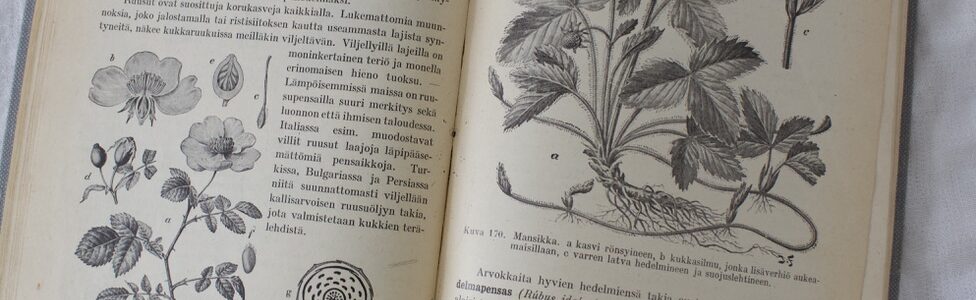 Vänrikki Stoolin tarinat kirja