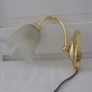 lasinen seinävaisin