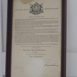 sodanaikainen todistus, Mannerheim